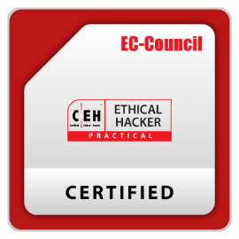 EC-Council Certified Ethical Hacker v11 Practical